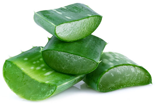flp-the-company-aloe-vera-pile.jpg